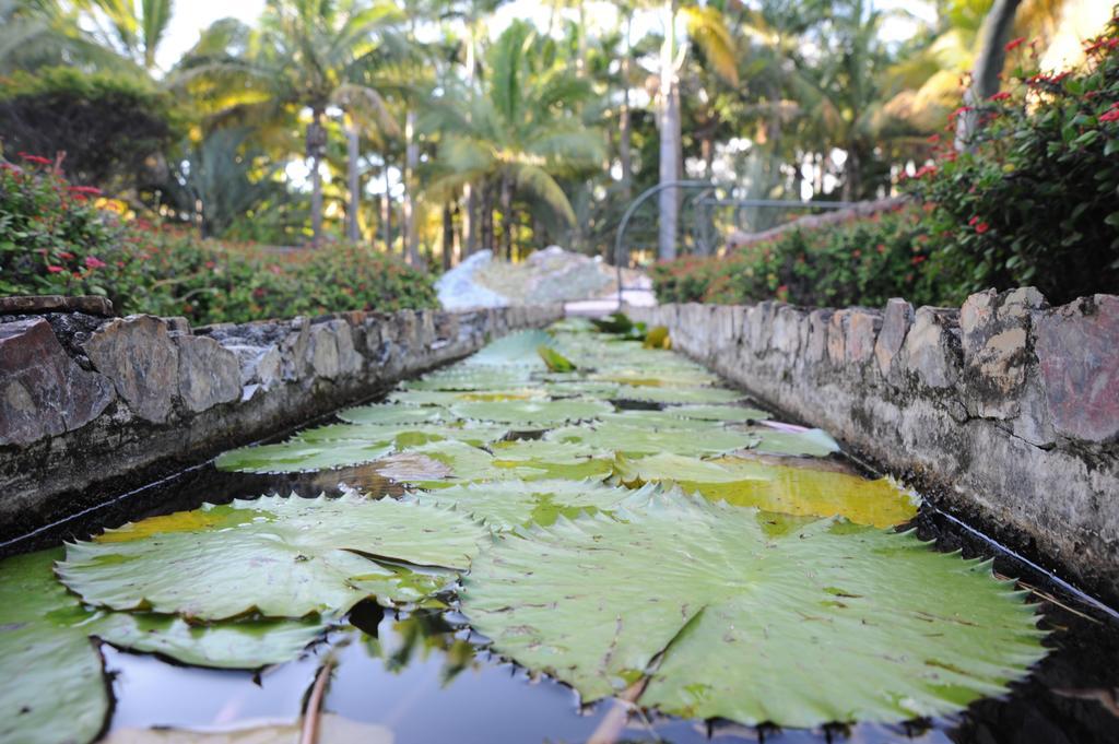 Le Domaine Des Pierres Hotel Saint Pierre Ngoại thất bức ảnh